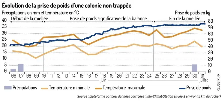 <em class="placeholder">Évolution de la prise de poids d’une colonie non trappée </em>