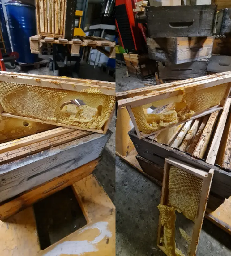 <em class="placeholder">Exemple de cire fondue</em>