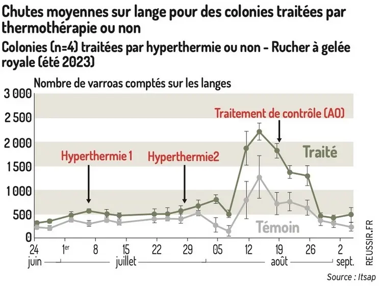 <em class="placeholder">Chutes moyennes sur lange pour des colonies traitées par thermothérapie ou nonColonies (n=4) traitées par hyperthermie ou non - Rucher à gelée royale (été 2023)</em>