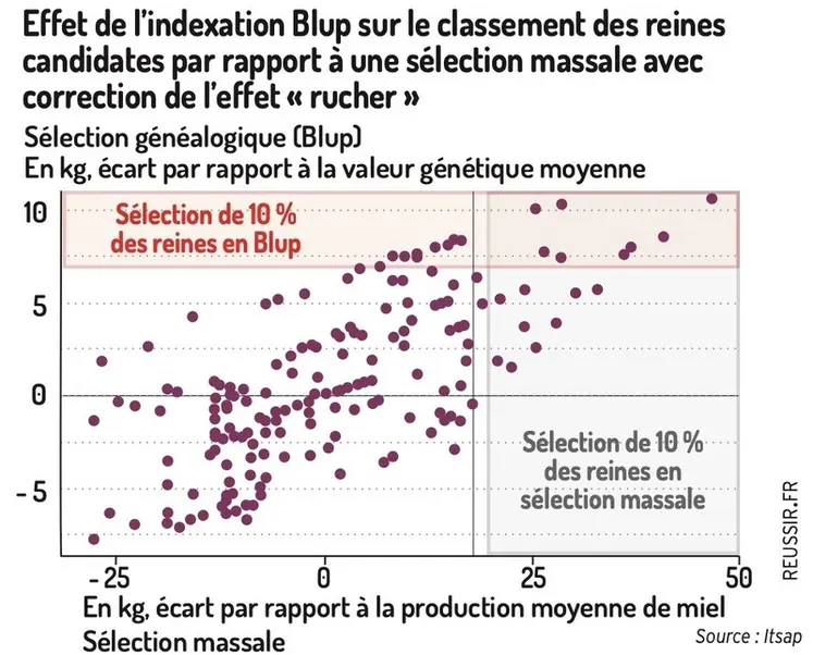 <em class="placeholder">Effet de l’indexation BLUP sur le classement des reines candidates par rapport à une sélection massale avec correction de l’effet « rucher »</em>