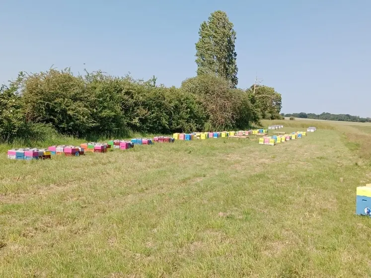 <em class="placeholder">Station de fécondation dirigée de Nicolas Girard (79).</em>