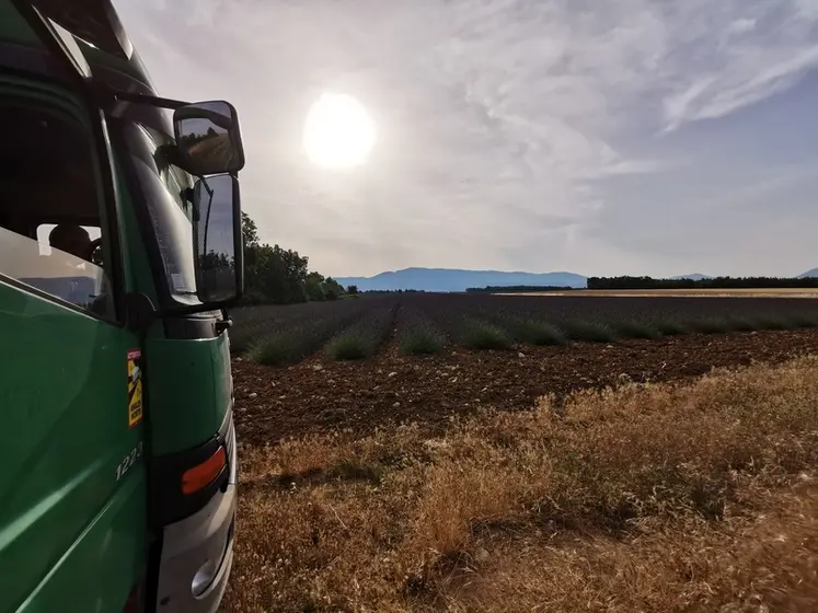 <em class="placeholder">La transhumance, pilier du métier d’apiculteur… malgré les défis</em>