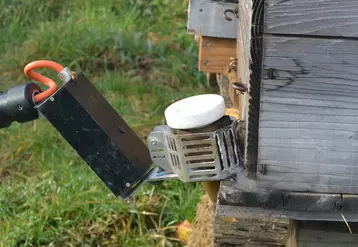 Dans la lutte contre Varroa, fermer les ruches rend le traitement plus efficace
