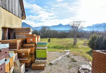 Sur 70 % des exploitations enquêtées par le Réseau d’exploitations apicoles de référence du réseau ADA-ITSAP, le miel représente plus de 80 % du chiffred’affaires.