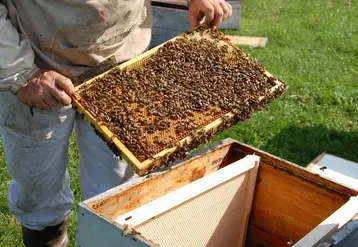 <em class="placeholder">Les visites de printemps pour bien débuter sa saison</em>