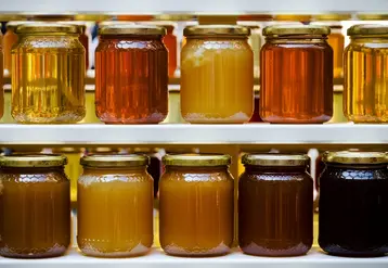 <em class="placeholder">La production nationale de miel 2024 est estimée entre 15 900 et 26 300 tonnes soit une baisse de 41% par rapport à 2023.</em>