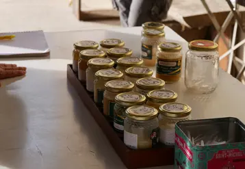<em class="placeholder">Les apiculteurs ne répondant pas aux normes en matière d&#039;instruments de pesée peuvent s’exposer à des sanctions</em>