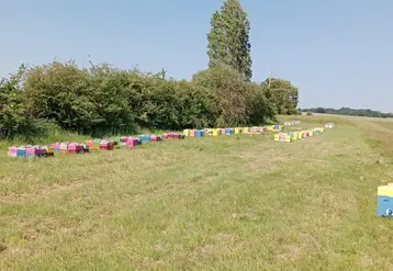 <em class="placeholder">Station de fécondation dirigée de Nicolas Girard (79).</em>