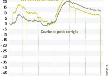 <em class="placeholder">Courbe de poids mesuré (en bleu) et la courbe de poids corrigée (en vert), où les interventions majeures et les accidents sont supprimés. </em>