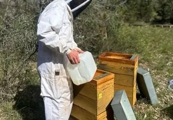 <em class="placeholder">En moyenne, entre septembre 2024 et août 2025, les apiculteurs de plus de 50 colonies ont distribué 7,18 kg de sucre par colonie hivernée.</em>