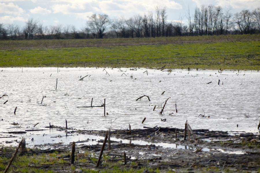 A Diors, comme ailleurs dans l'Indre, de nombreuses parcelles sont à blanc d'eau. On enregistre déjà entre 75 et 80 mm de cumul de pluie en moyenne sur le département, depuis le début de l'année.