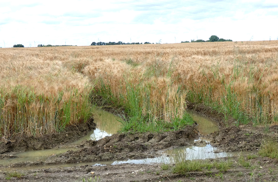 Les demandes de diagnostic flash restent rares. Pourtant, l’expérience prouve que plus l’accompagnement est sollicité tôt, plus les solutions sont variées.