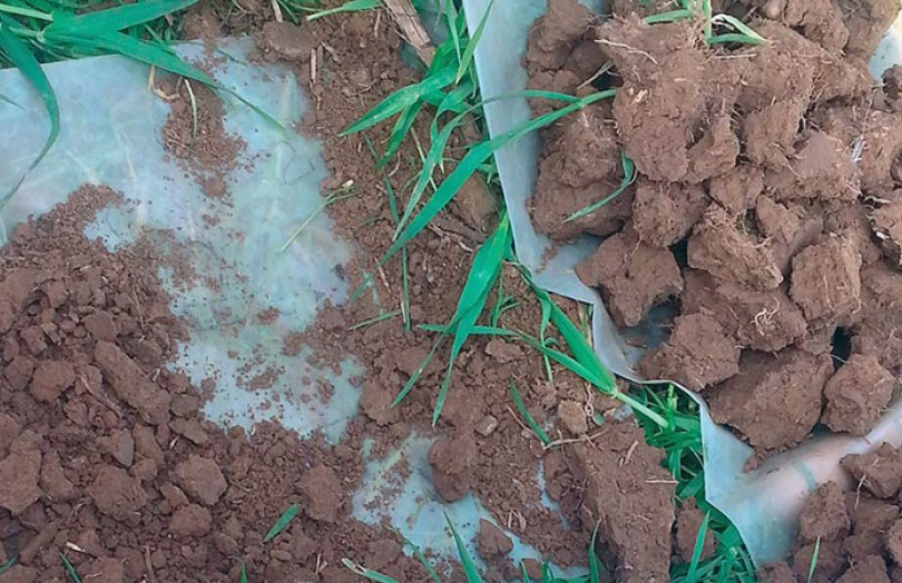 Une fois le couvert d’interculture détruit, un nouveau un test bêche, accompagné d’un test d’infiltration de l’eau.