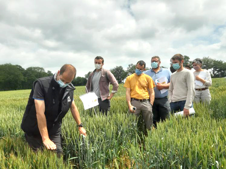 Tous les essais seront ouverts à l’ensemble des agriculteurs lors des visites de la plateforme d’expérimentation.