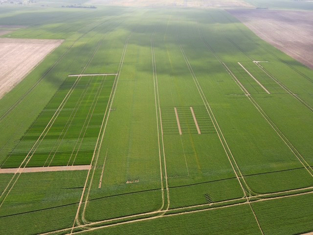 L'objectif est d’observer le comportement de nouvelles cultures sous nos latitudes, avec le climat propre au département, et ainsi d’analyser leur adaptabilité