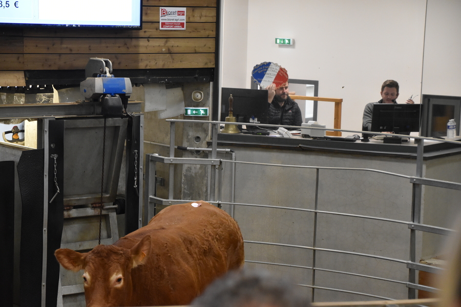 Les enchères sont dynamiques pour les animaux primés. ©B.R