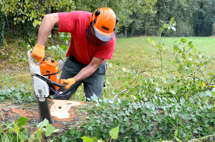 Les EPI sont indispensables pour assurer sa sécurité au travail en général, et d’autant plus au bois et ce, la tête aux pieds. © D.R