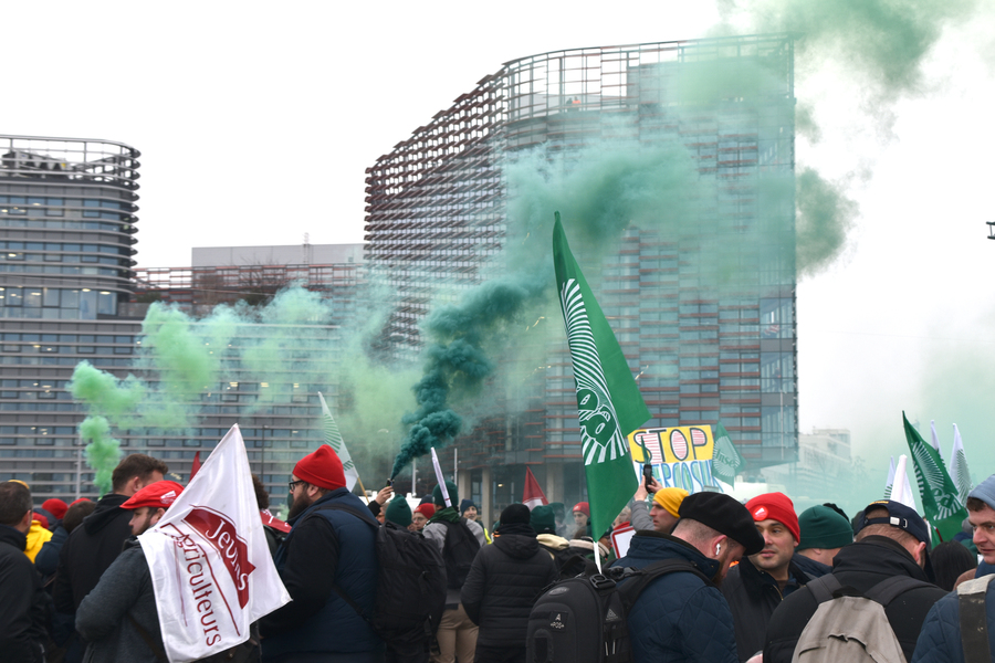 Marrée humaine et de drapeaux devant le Parlement européen. ©B.R