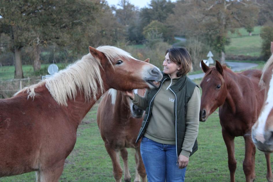 Femme Cheval Équestre - Photo gratuite sur Pixabay