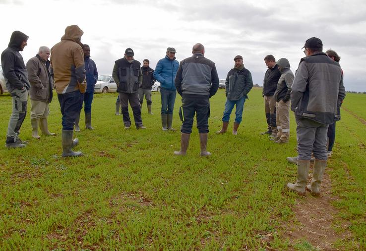 Pour savoir si le pilotage en azote porte ses fruits, Bastien Lemain, conseiller de la FDGEDA du Cher, recommande de réaliser une balance globale d’azote sur les exploitations.