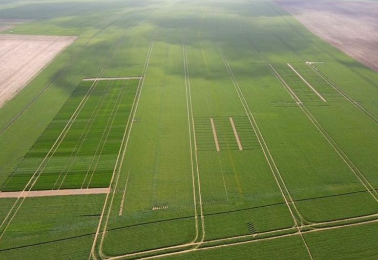 L'objectif est d’observer le comportement de nouvelles cultures sous nos latitudes, avec le climat propre au département, et ainsi d’analyser leur adaptabilité