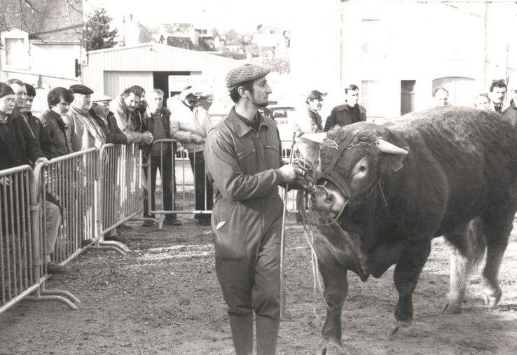 Depuis les années 30, Argenton-sur-Creuse est le théâtre des concours limousins  (photo datant du début des années 80). ©Archives AP