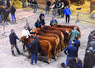 Près d'une cinquantaine d'éleveurs est attendue à la halle polyvalente du quartier de la Grenouille, le dernier week-end de janvier.