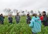 Les agriculteurs du réseau Déphy de l'Indre et du Cher ont échangé autour des couverts. ©B.R