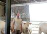 La viande issue de la jeune charolaise de 3 ans de Jérôme Baritaud (en photo) et la vache de réforme de Kévin Baillon devraient couvrir le repas du samedi 5 septembre soir et du dimanche 6 septembre midi. ©M.G
