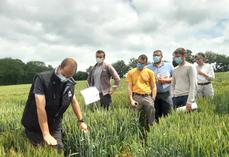 Tous les essais seront ouverts à l’ensemble des agriculteurs lors des visites de la plateforme d’expérimentation.