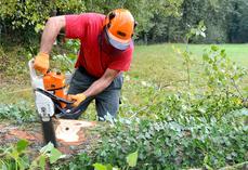 Les EPI sont indispensables pour assurer sa sécurité au travail en général, et d’autant plus au bois et ce, la tête aux pieds. © D.R