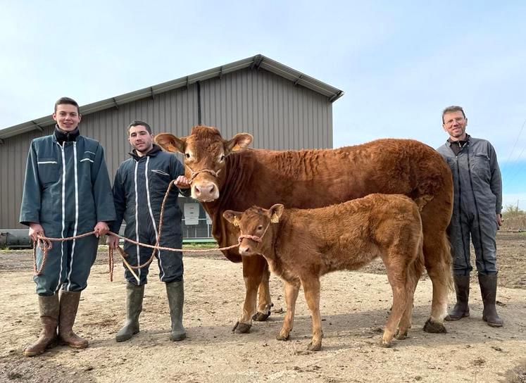 La passion de la sélection se partage chez les Raffin-Ponroy. Habitués des concours locaux, régionaux et nationaux, ils seront présents à Argenton.  (photo d’archives)