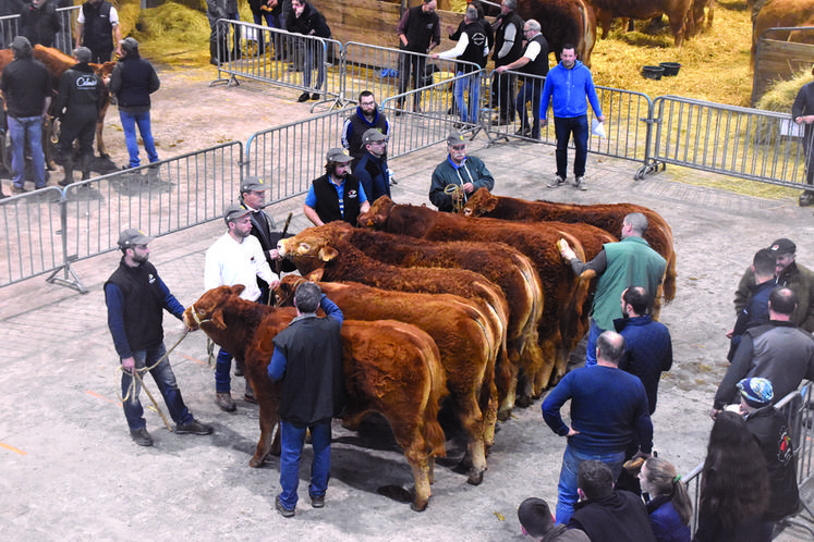 Près d'une cinquantaine d'éleveurs est attendue à la halle polyvalente du quartier de la Grenouille, le dernier week-end de janvier.