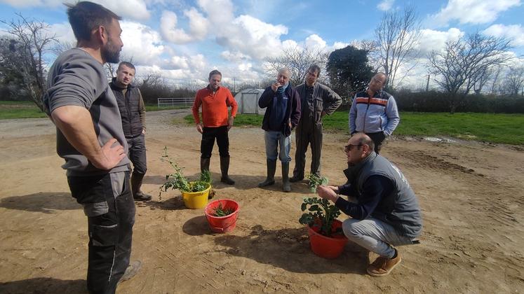Le 24 mars, les adhérents du GDA du Bas Berry se sont réunis pour leur premier tour de plaine de la campagne 2025.