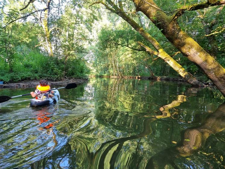 Sur le parcours en kayak, c'est une Indre plus sauvage que découvre le public tout en devinant des sites historiques castelroussins. ©Moulin de Vilaine