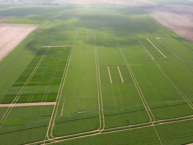 L'objectif est d’observer le comportement de nouvelles cultures sous nos latitudes, avec le climat propre au département, et ainsi d’analyser leur adaptabilité