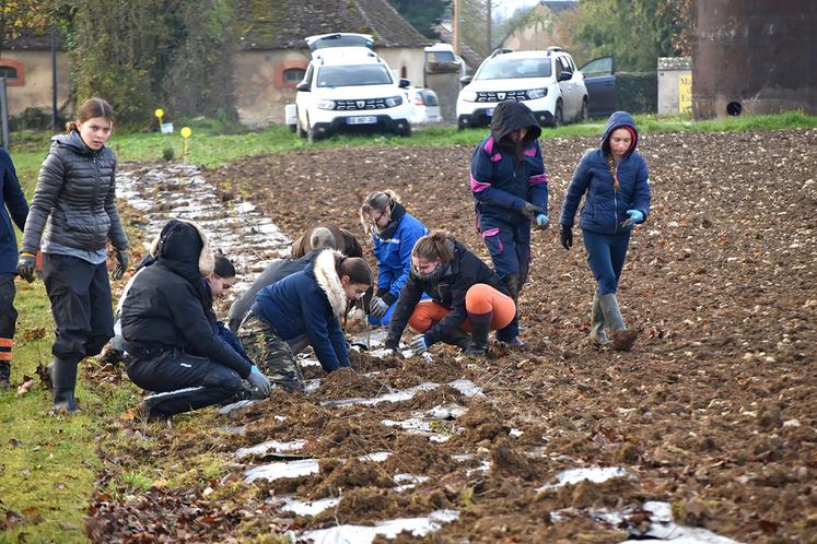 Les opérations Sainte-Catherine se veulent conviviales et intergénérationnelles. ©B.R