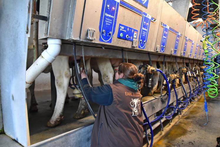 Depuis fin octobre, Aurore Neau a retrouvé le plaisir de la traite grâce à sa  nouvelle salle de traite, composée de deux quais de 16 postes et un plancher mobile. ©B.R