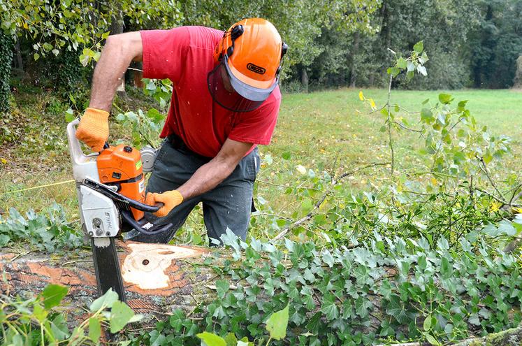 Les EPI sont indispensables pour assurer sa sécurité au travail en général, et d’autant plus au bois et ce, la tête aux pieds. © D.R
