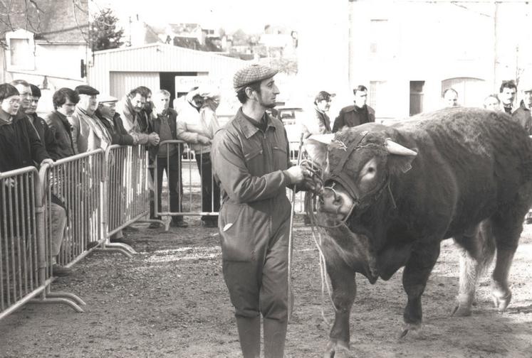 Depuis les années 30, Argenton-sur-Creuse est le théâtre des concours limousins  (photo datant du début des années 80). ©Archives AP