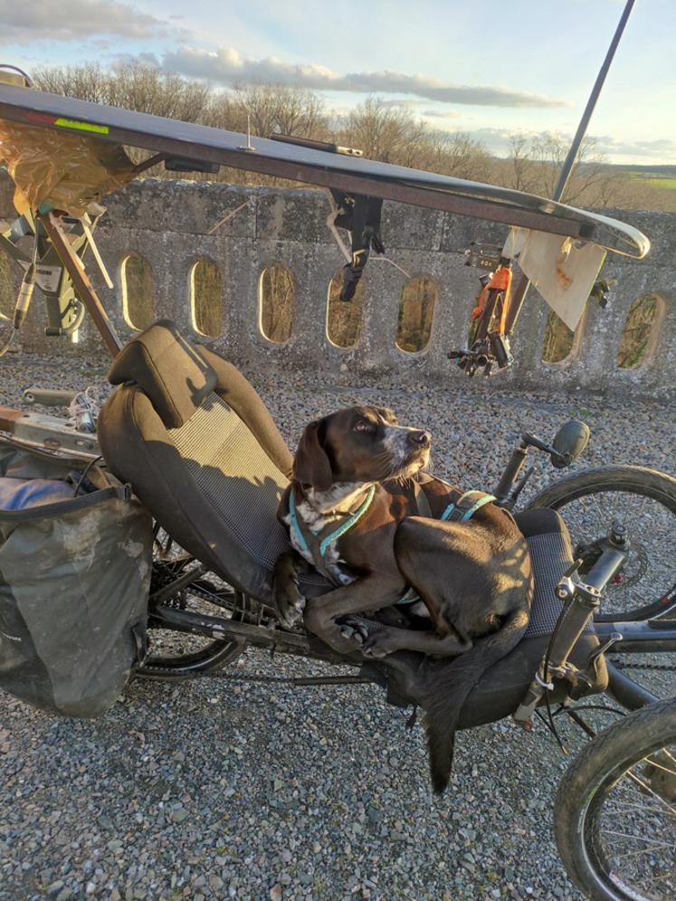 Natchav, répondant au doux surnom Chacha accompagne fidèlement Jday dans son périple, il est aussi la mascotte des réseaux sociaux du Nomade du futur.  ©B.R