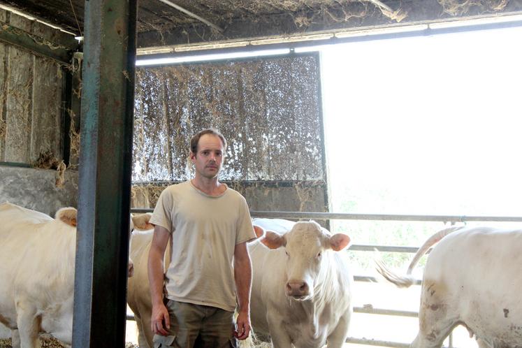 La viande issue de la jeune charolaise de 3 ans de Jérôme Baritaud (en photo) et la vache de réforme de Kévin Baillon devraient couvrir le repas du samedi 5 septembre soir et du dimanche 6 septembre midi. ©M.G
