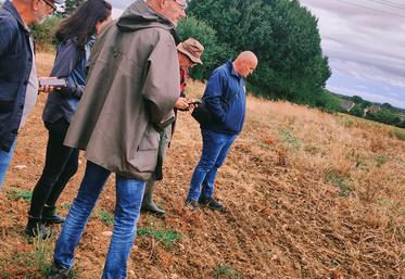La FDSEA insiste sur la nécessité de travailler collectivement afin de trouver rapidement des solutions pragmatiques, conciliant protection des cultures et santé publique.