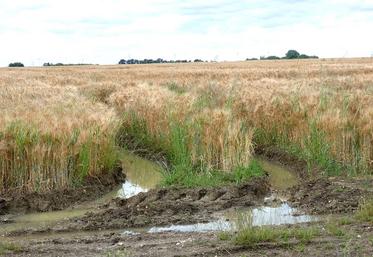 Les demandes de diagnostic flash restent rares. Pourtant, l’expérience prouve que plus l’accompagnement est sollicité tôt, plus les solutions sont variées.