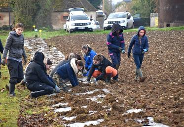 Les opérations Sainte-Catherine se veulent conviviales et intergénérationnelles. ©B.R