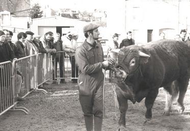 Depuis les années 30, Argenton-sur-Creuse est le théâtre des concours limousins  (photo datant du début des années 80). ©Archives AP