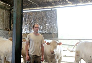 La viande issue de la jeune charolaise de 3 ans de Jérôme Baritaud (en photo) et la vache de réforme de Kévin Baillon devraient couvrir le repas du samedi 5 septembre soir et du dimanche 6 septembre midi. ©M.G
