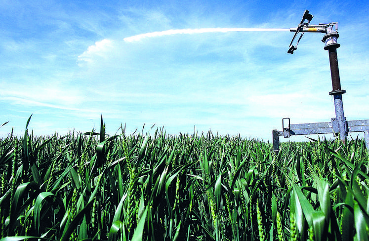 Entre hausse des prix de l'énergie et baisse des cours des céréales, l'irrigation devrait peser plus lourd cette année dans les charges de production.