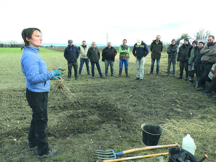 Les agriculteurs retenus pour le Plan de Relance haies ont récupéré, le 3 février dernier, une première partie de leurs plants.