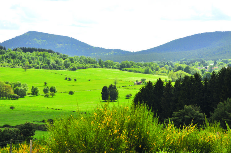 La marque Auvergne vient de lancer une enquête de notoriété auprès des habitants de l’Allier, du Cantal, de la Haute-Loire et du Puy-de-Dôme.